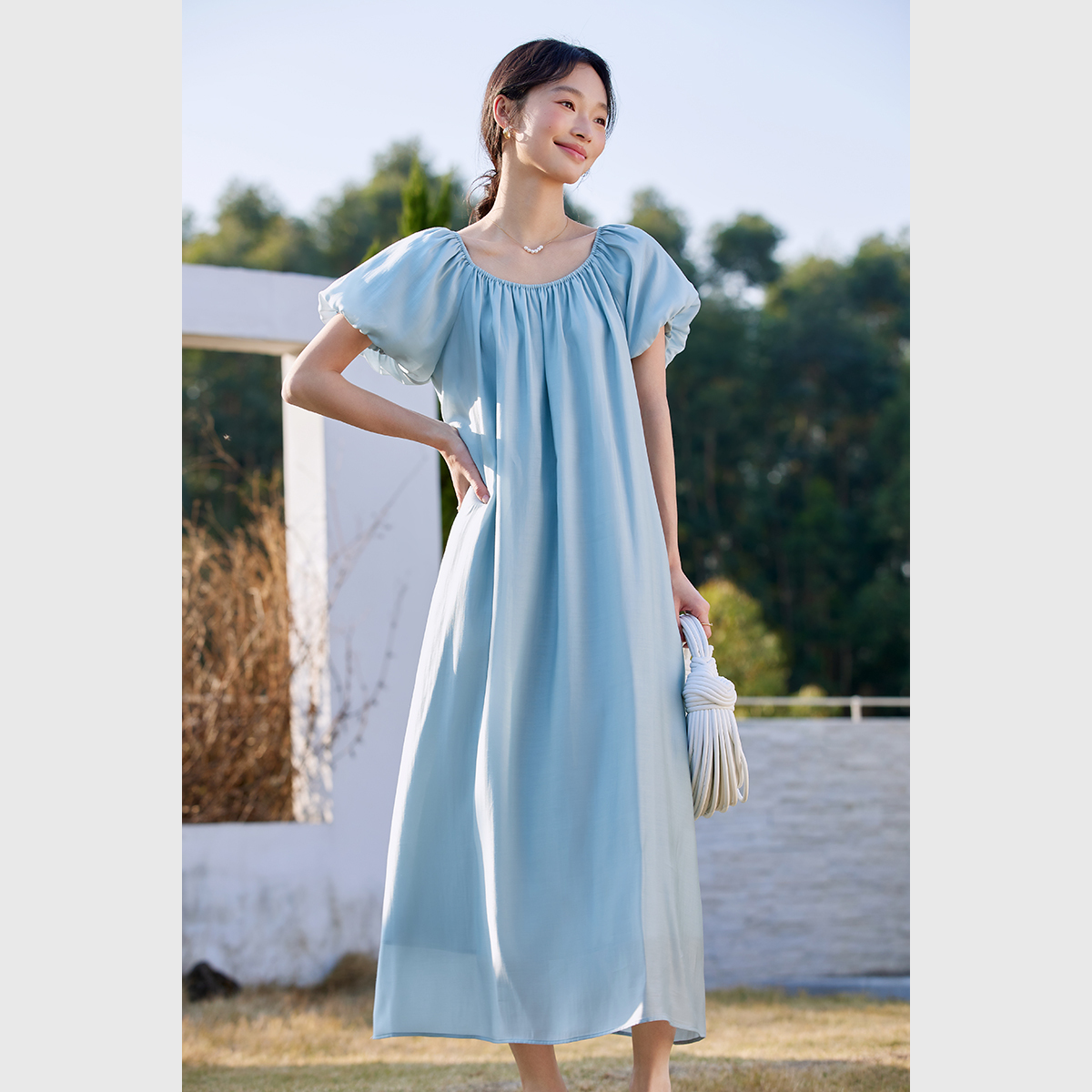 Elegant Puff Sleeve Dress