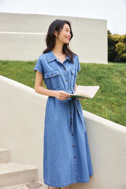 Denim Small A-Line Dress