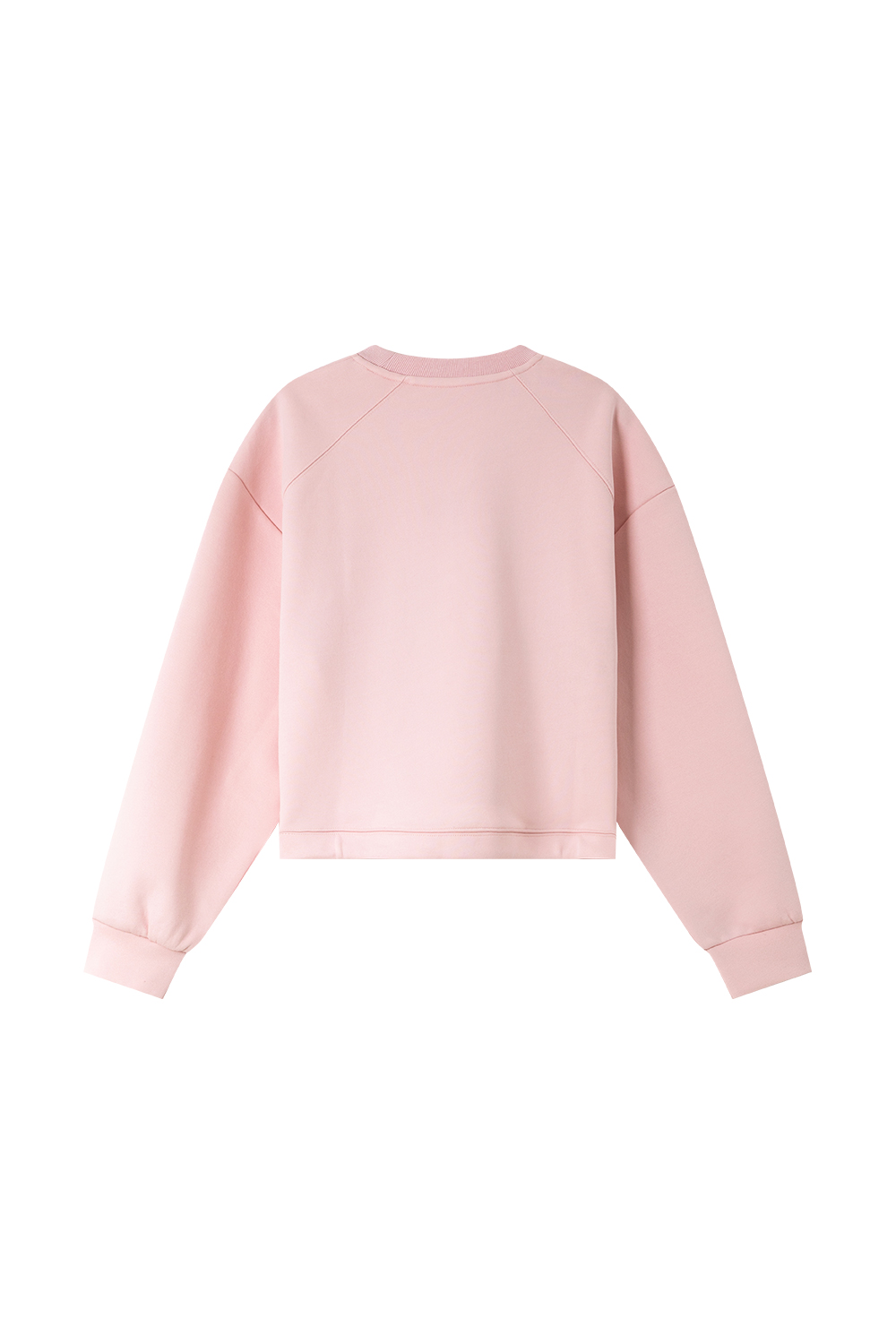 Gradient Three-Dimensional Butterfly Sweatshirt