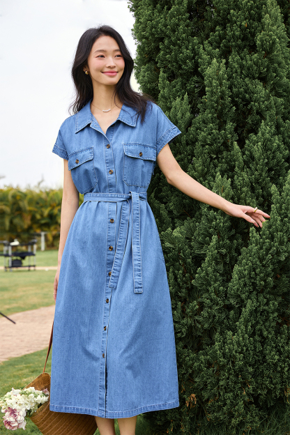 Denim Small A-Line Dress