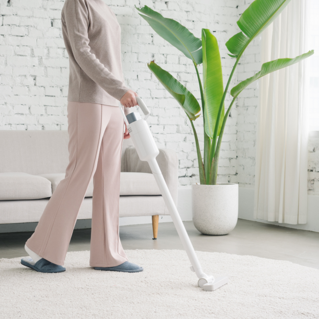 ±0 Cordless Cleaner Ver. 3 C030 