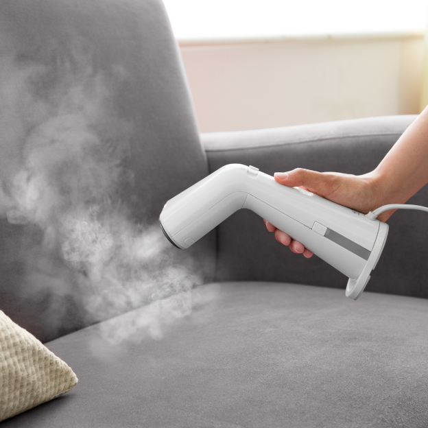 ±0 Garment Steamer D011