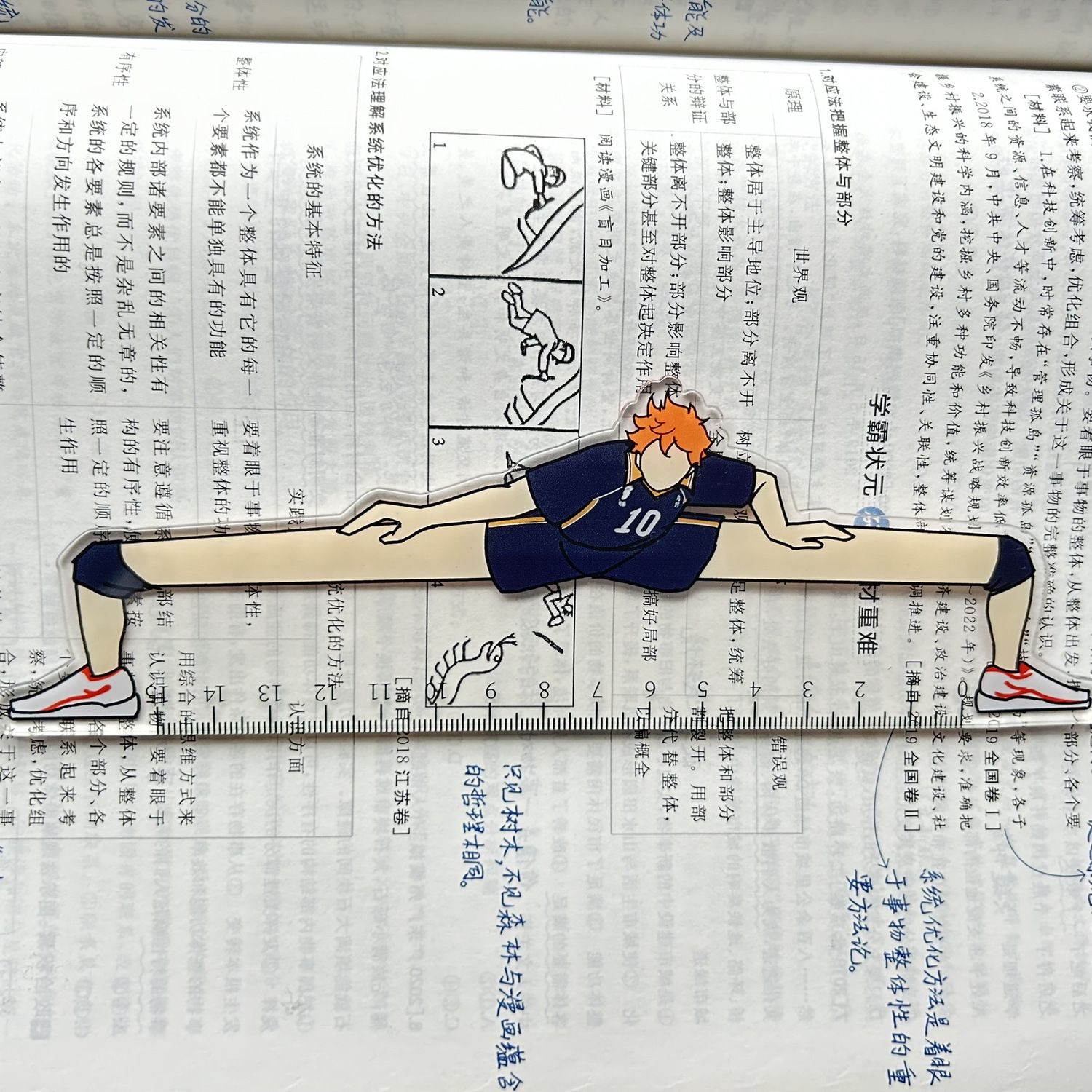 じょうぎ【ハイキュー】