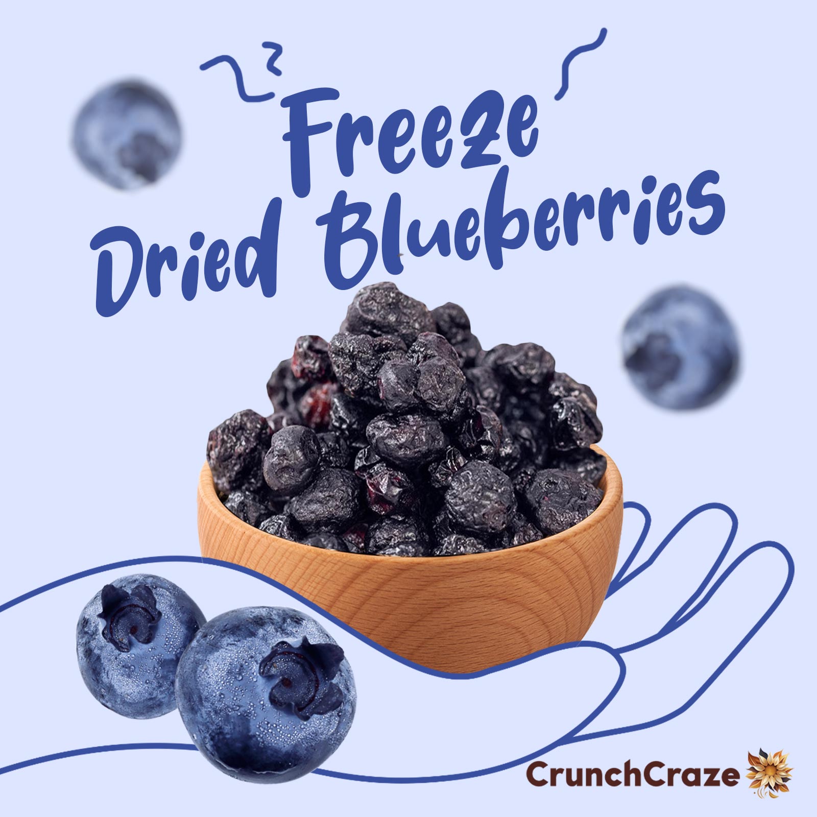Freeze Dried Blueberry(50g)