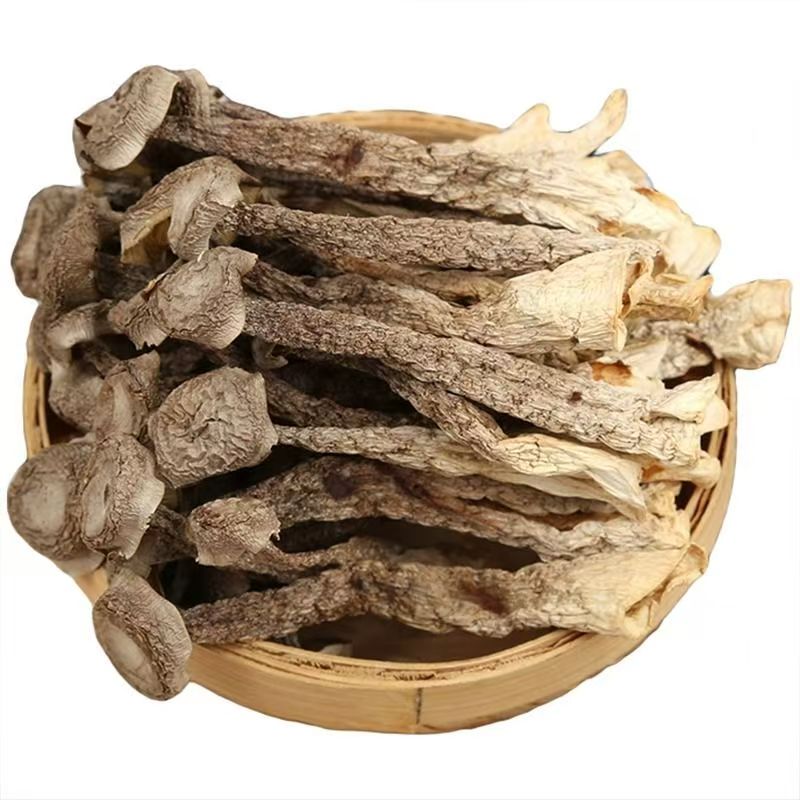 【客製化商品】鹿茸菇