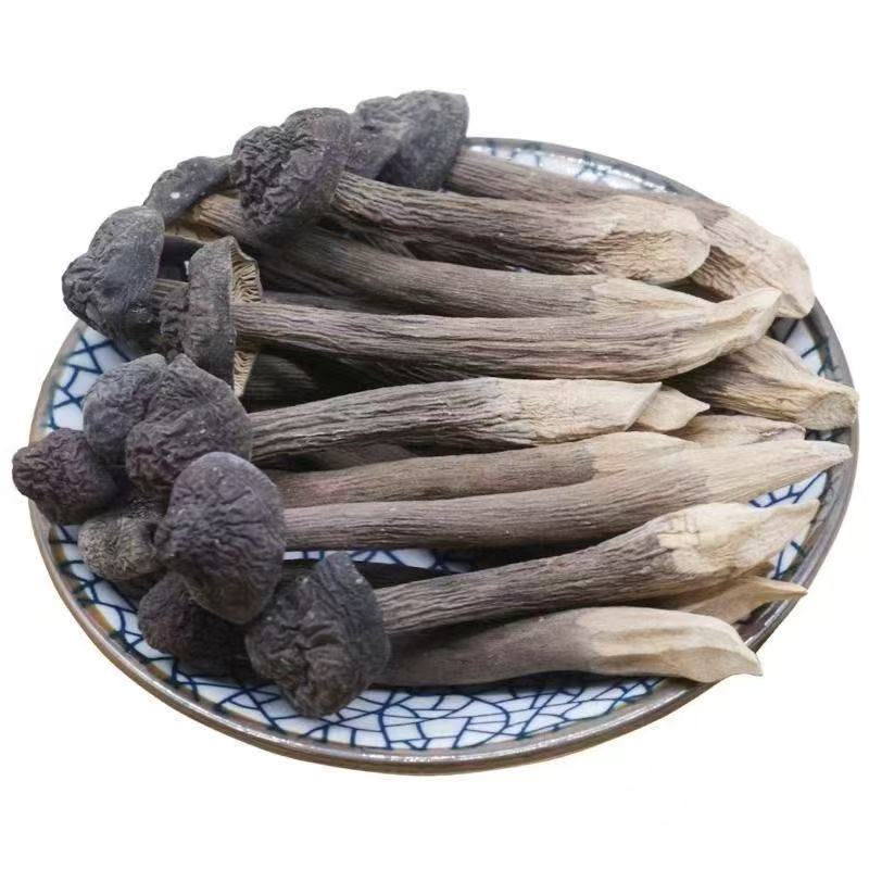 【客製化商品】黑皮雞樅菌