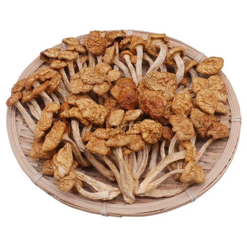 【客製化商品】滑子菇