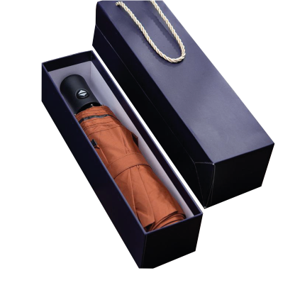 Automatic Plastic Umbrella 