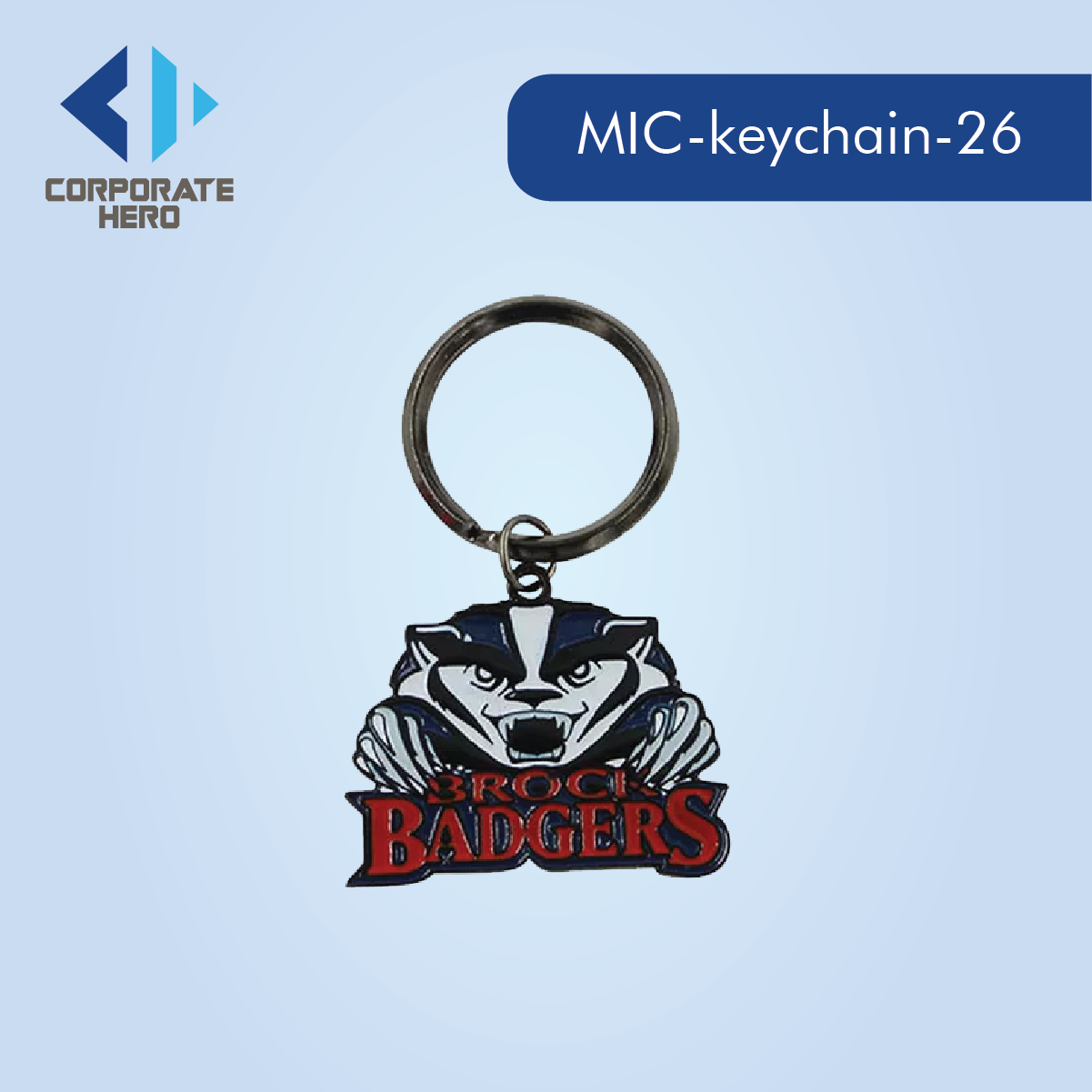 Engraved Dog keychains Custom Personalized