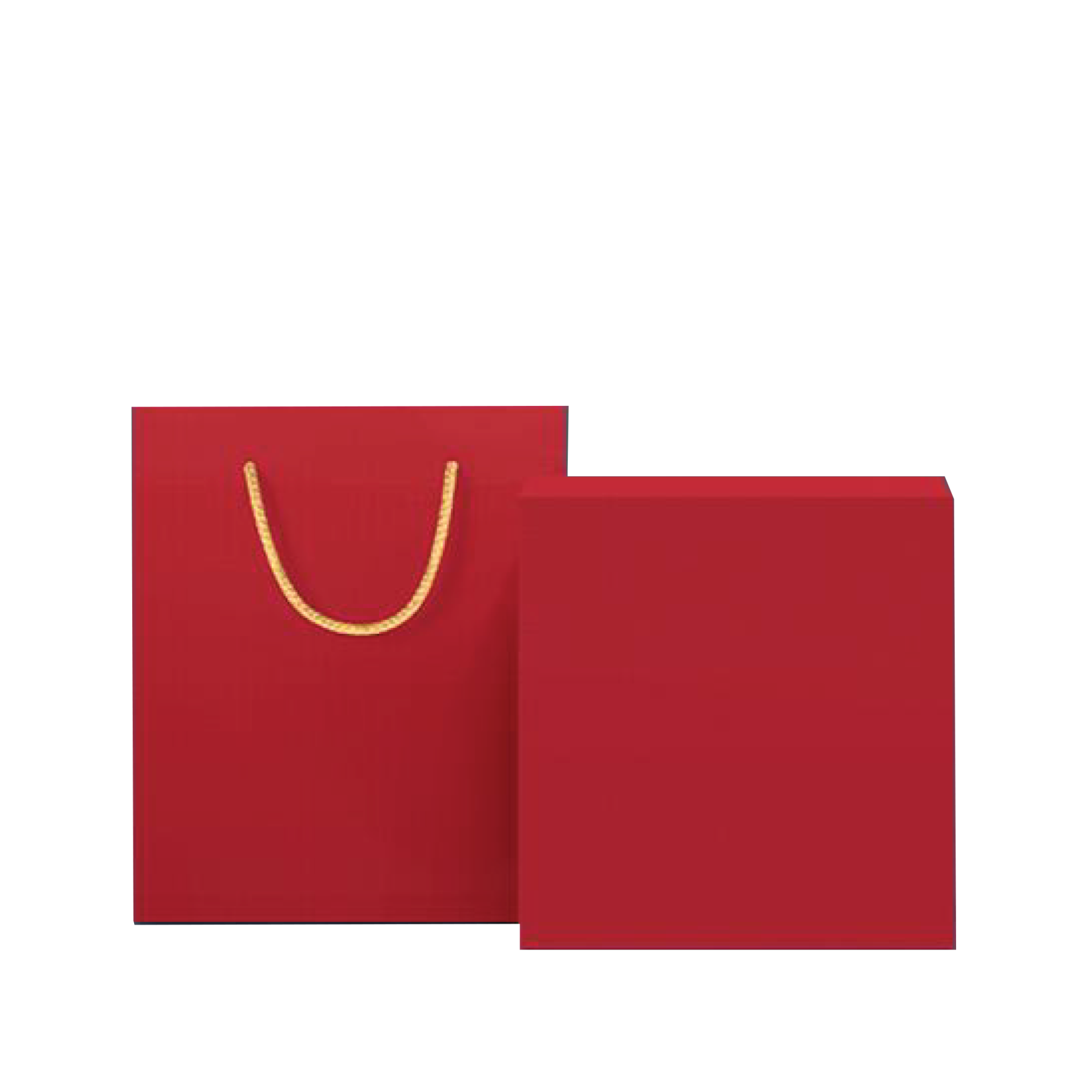 Matching Gift Box and Bag