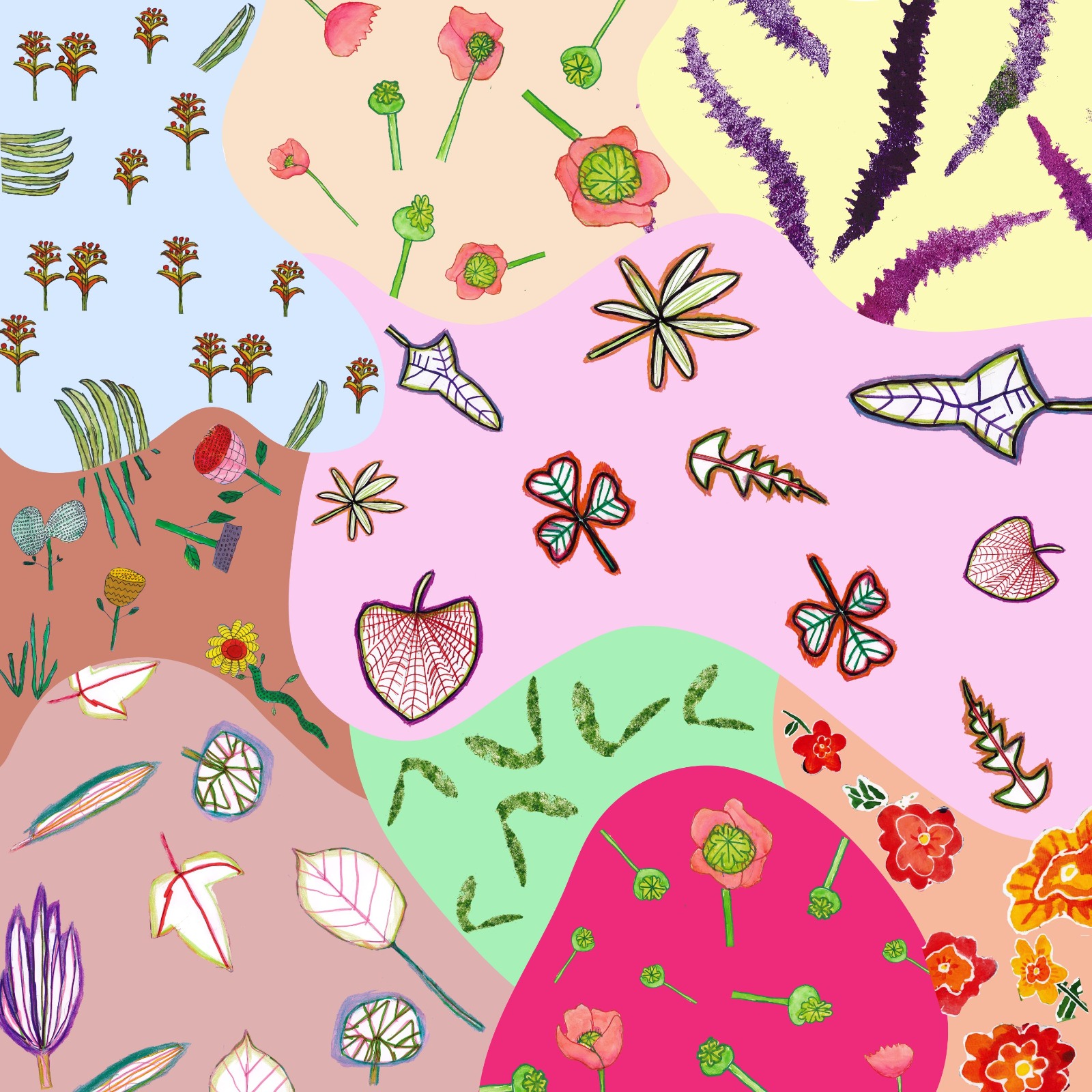 MEADOWS COLLECTION