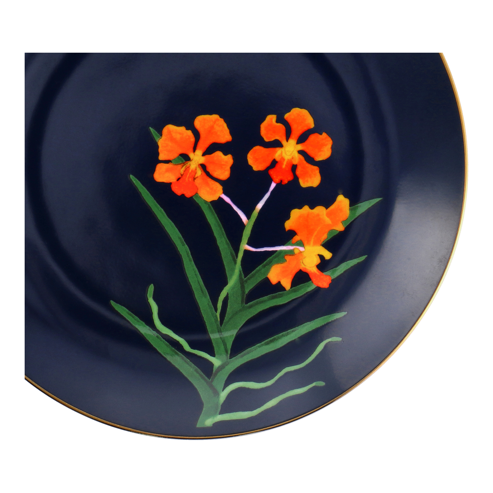 PAPILIONANDA ORCHID MIDNIGHT - BONE CHINA PLATE