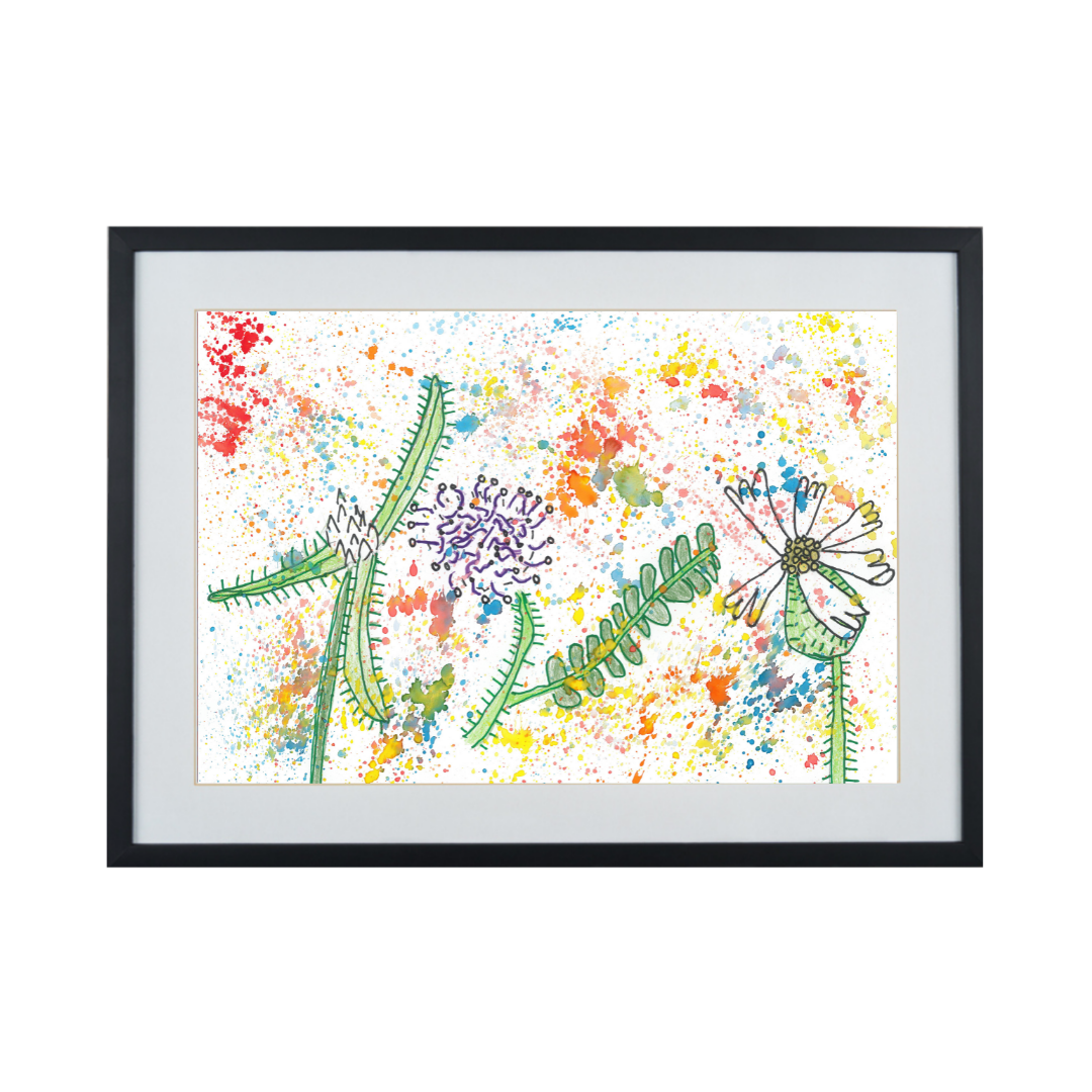 WILDFLOWER BLOOMS