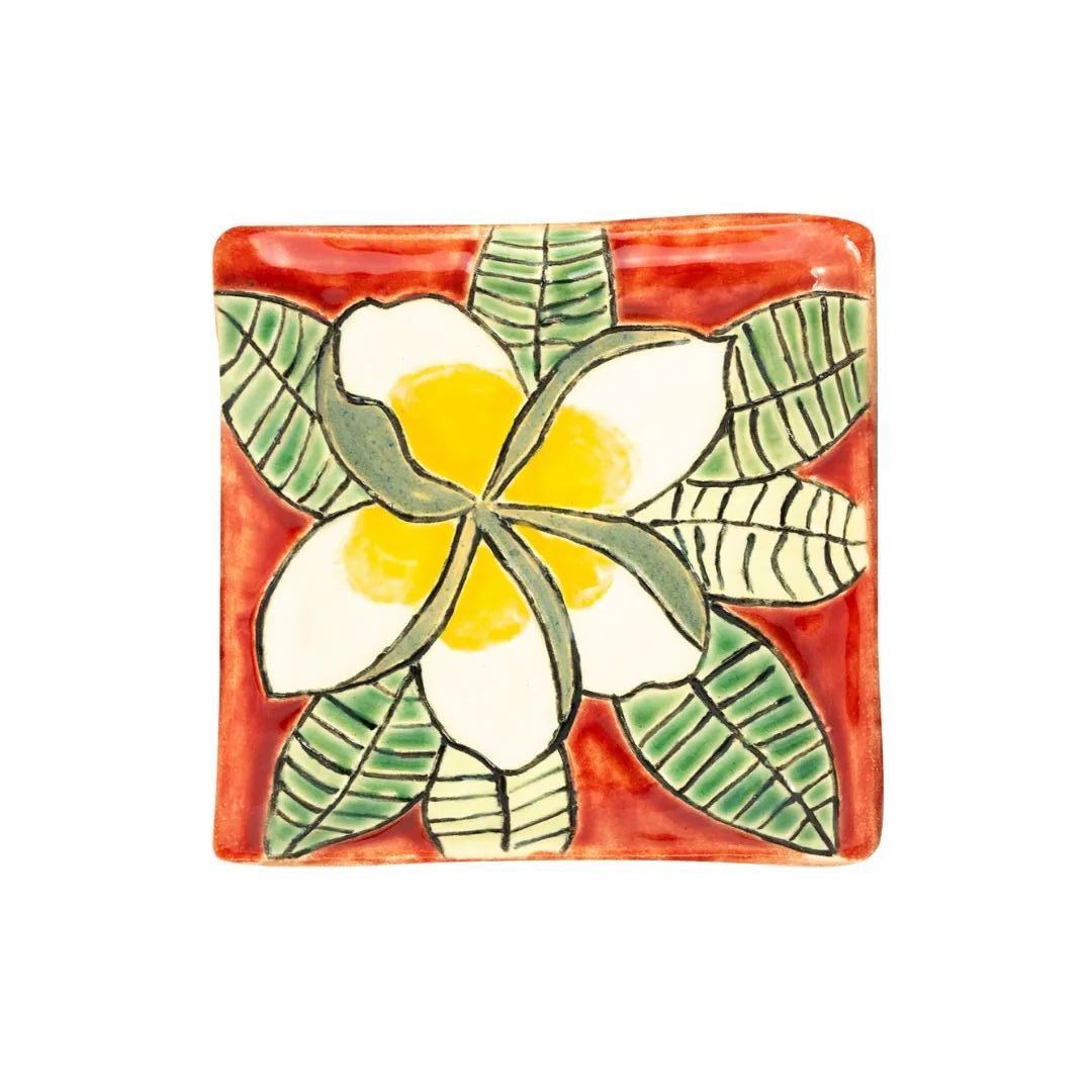 BOTANY LOVE - FRANGIPANI