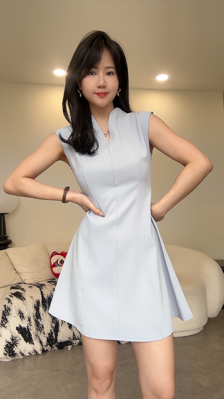 简约V领C袖Dress