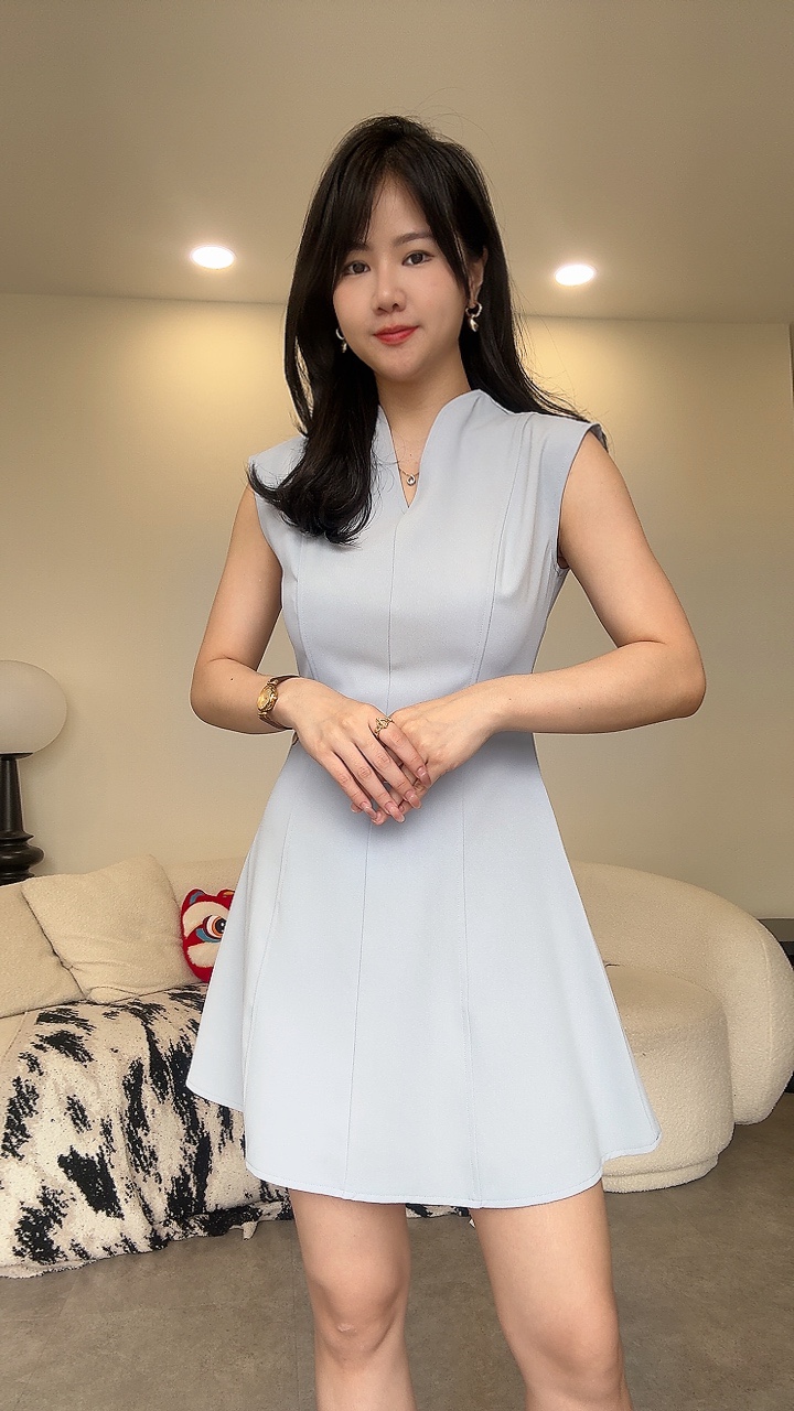 简约V领C袖Dress
