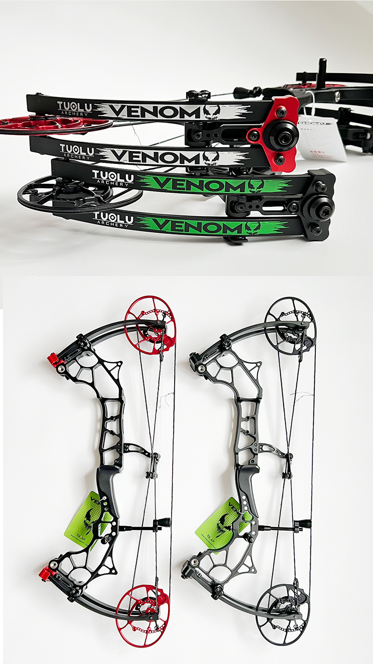 Compound Bow