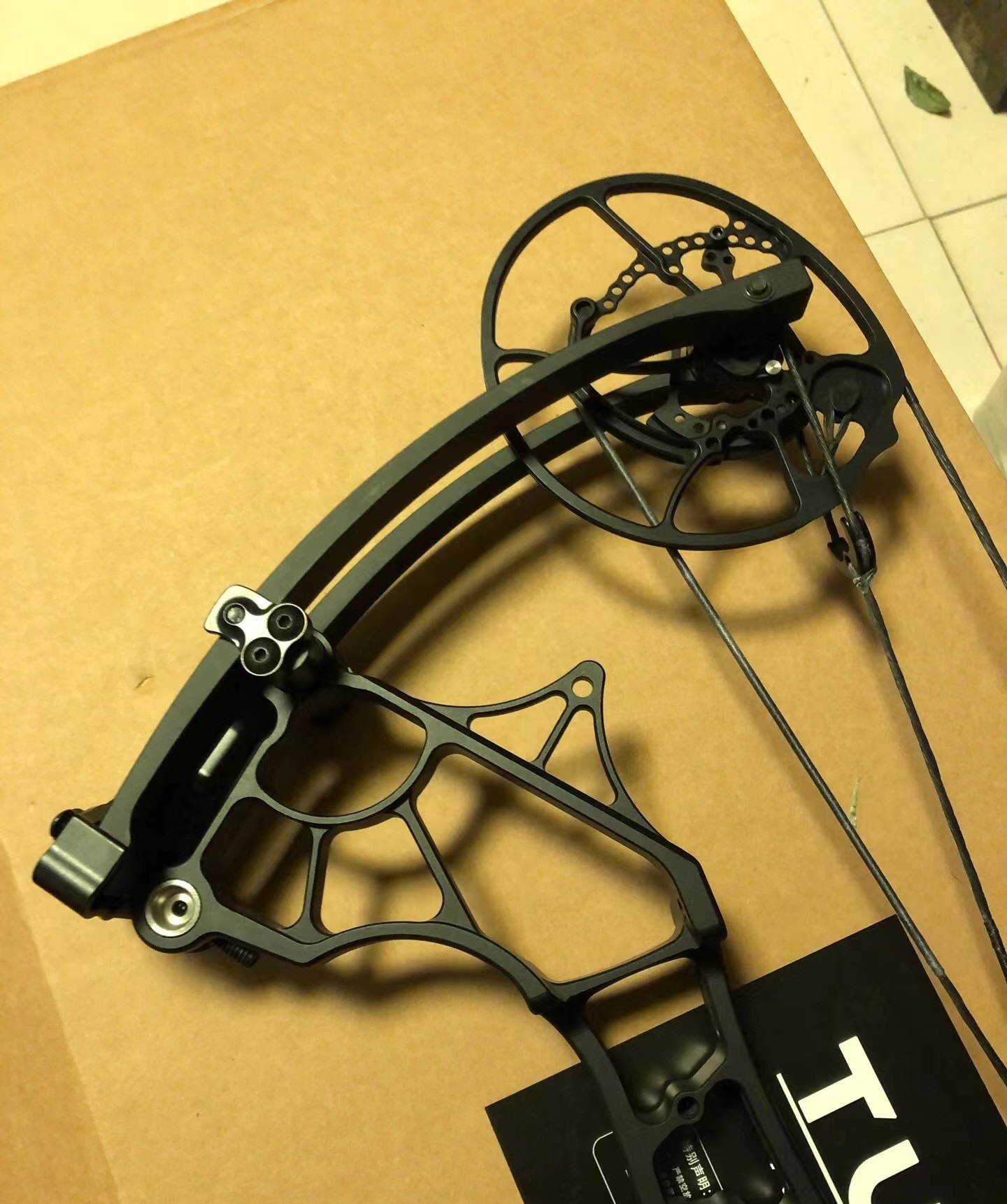 Compound Bow
