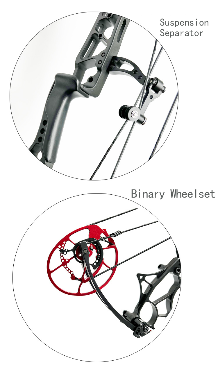 Compound Bow