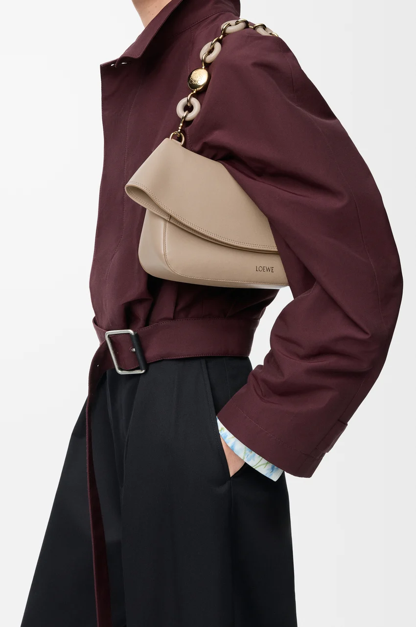 ロエベ  オラ バッグ ミディアム（スムースカーフ）