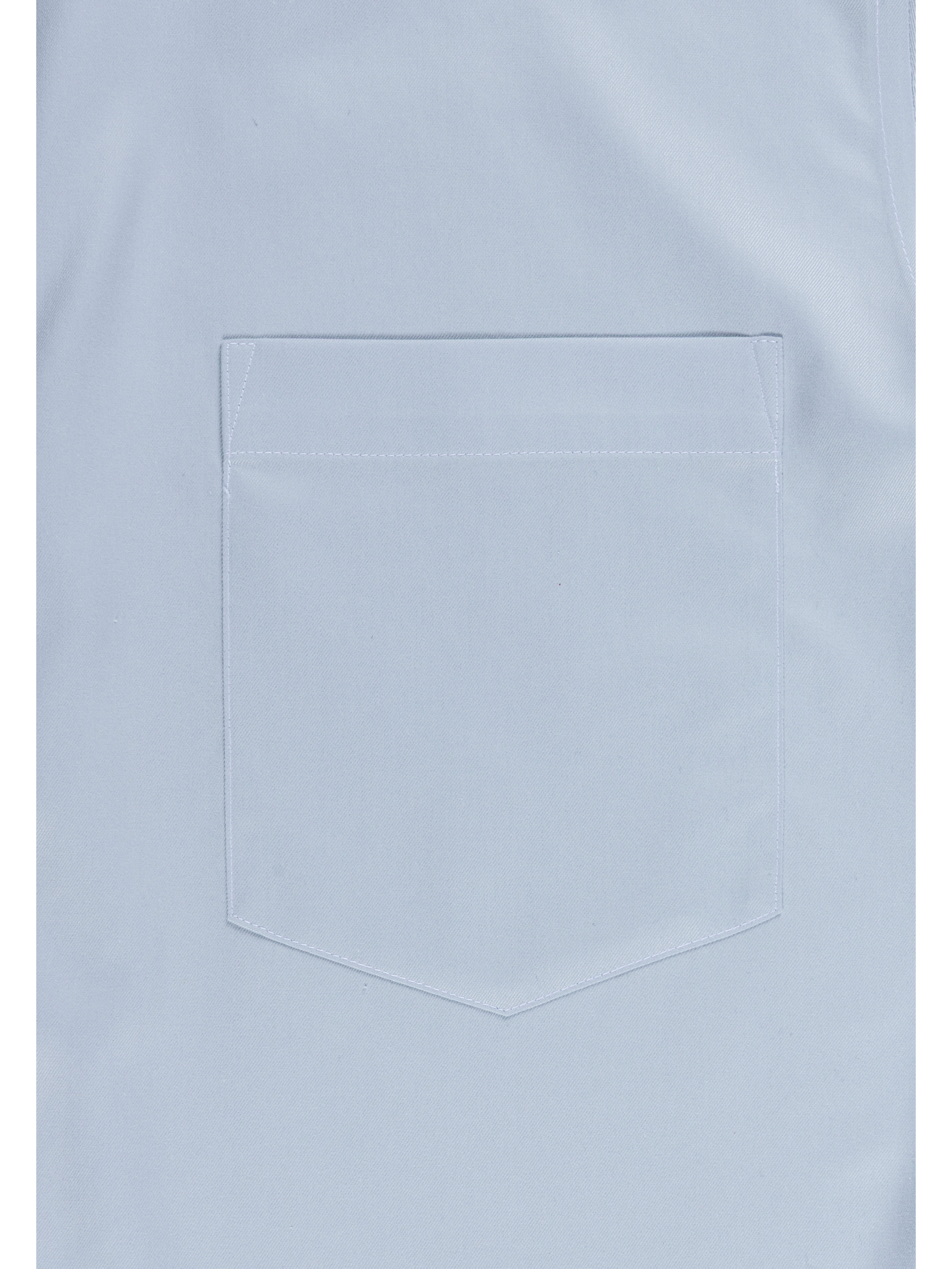 Goldlion Business Regular Fit 3D Wrinkle Free Long-Sleeved Shirt (light blue)