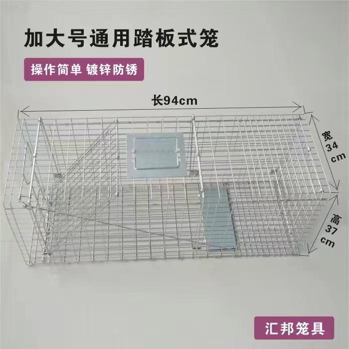 pedal cages and clips