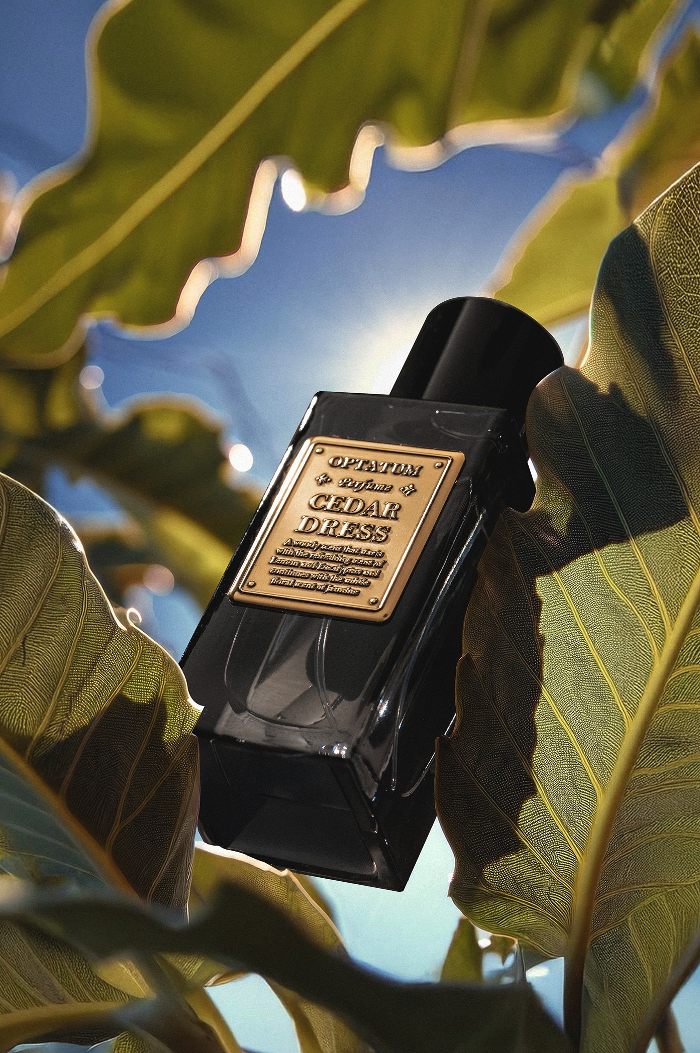 OPTATUM Perfume Cedar Dress 50ml