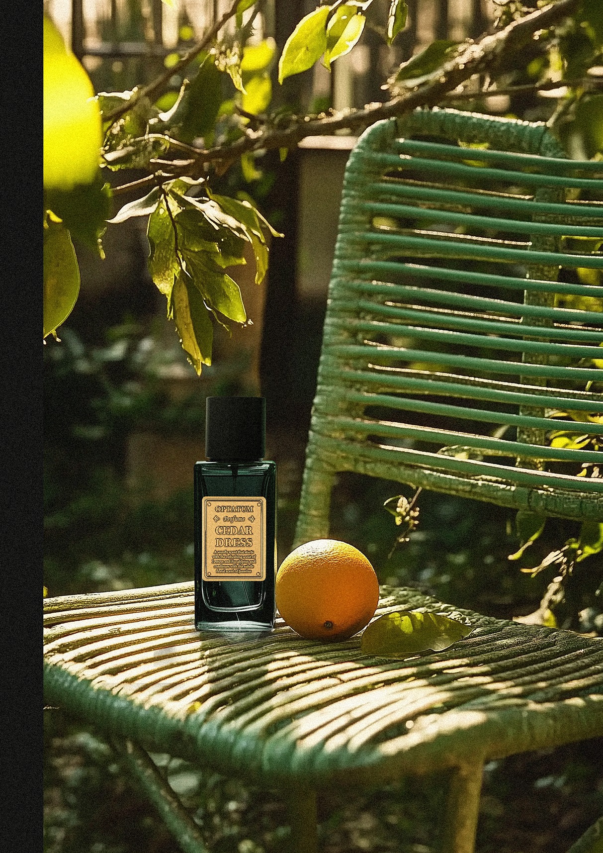 OPTATUM Perfume Cedar Dress 50ml