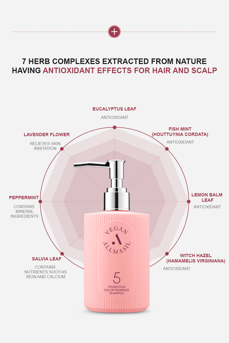 ALLMASIL: 5 Probiotic Colour Radiance Shampoo