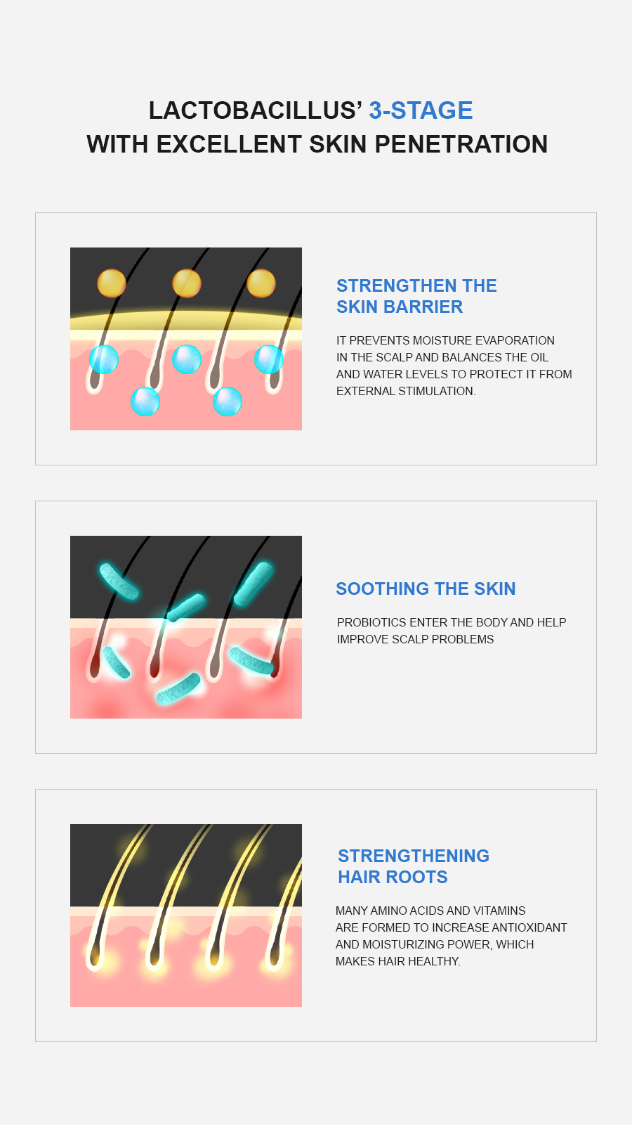 ALLMASIL: 5 Probiotic Perfect Volume Shampoo