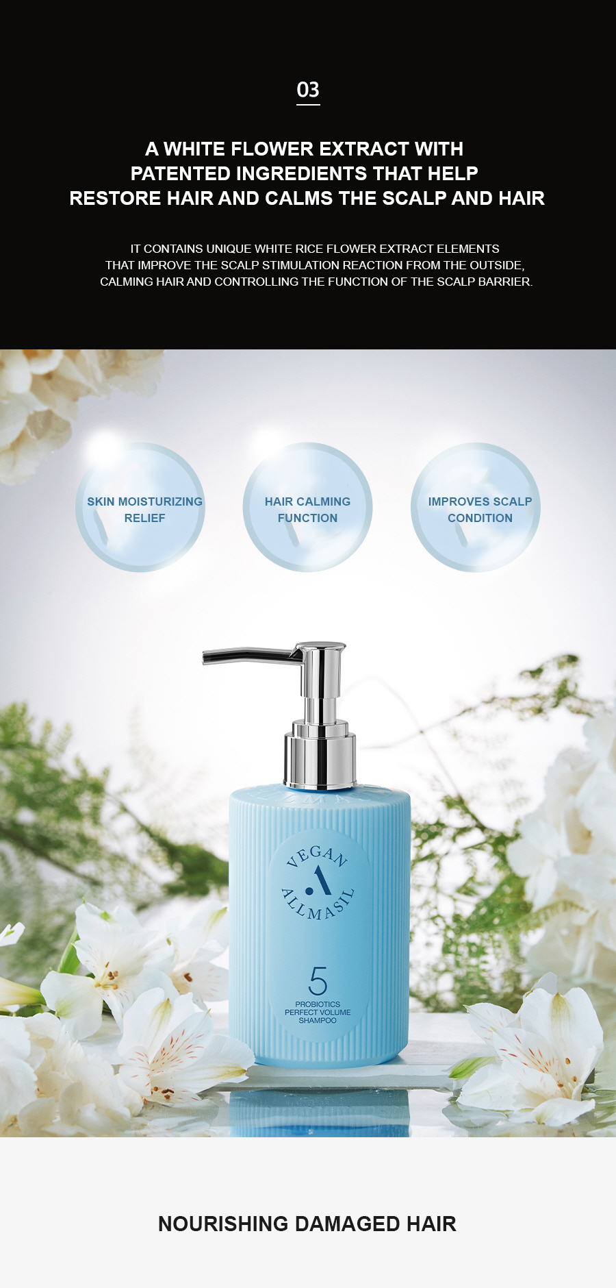 ALLMASIL: 5 Probiotic Perfect Volume Shampoo