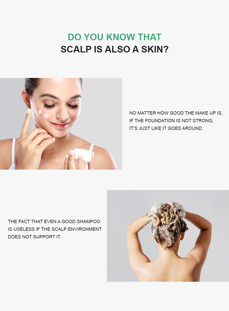 ALLMASIL: 5 Probiotic Scalp Scaling Shampoo