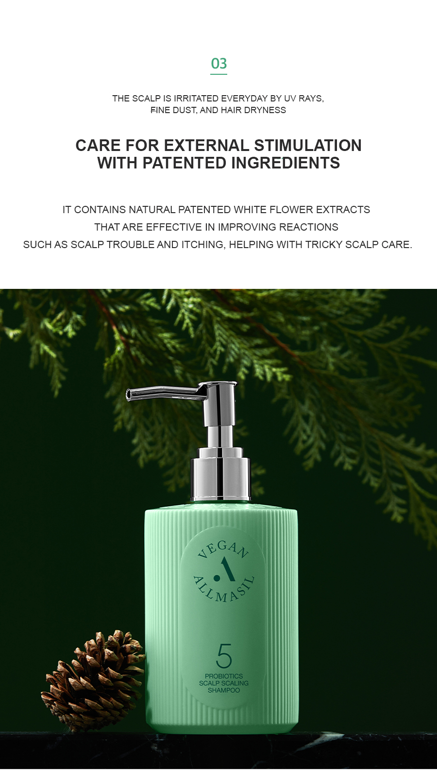 ALLMASIL: 5 Probiotic Scalp Scaling Shampoo