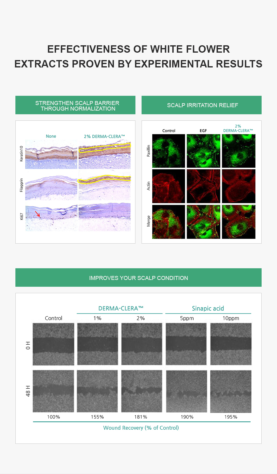 ALLMASIL: 5 Probiotic Scalp Scaling Shampoo
