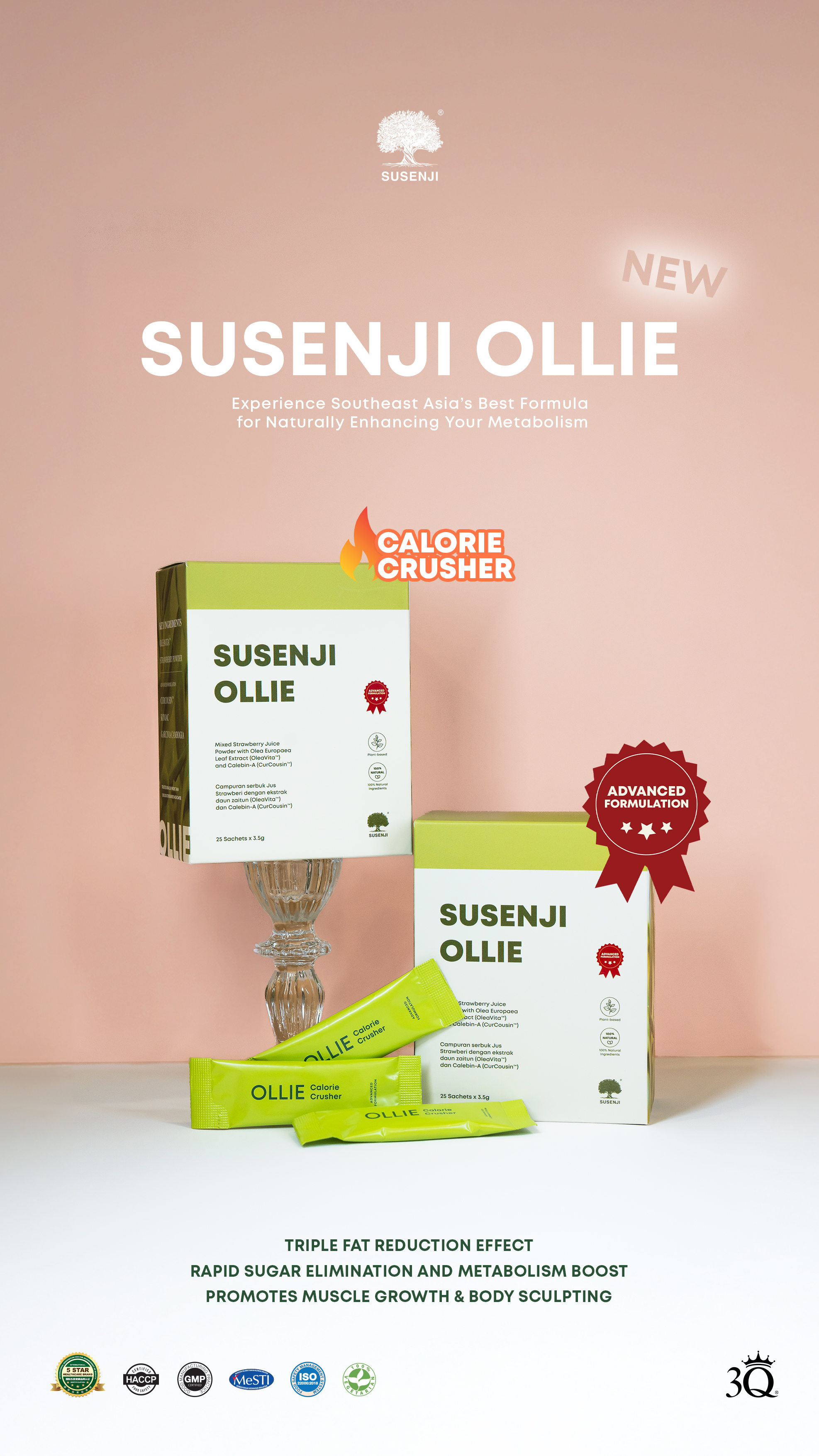 Susenji Ollie+ (25 Sachet x 25g)