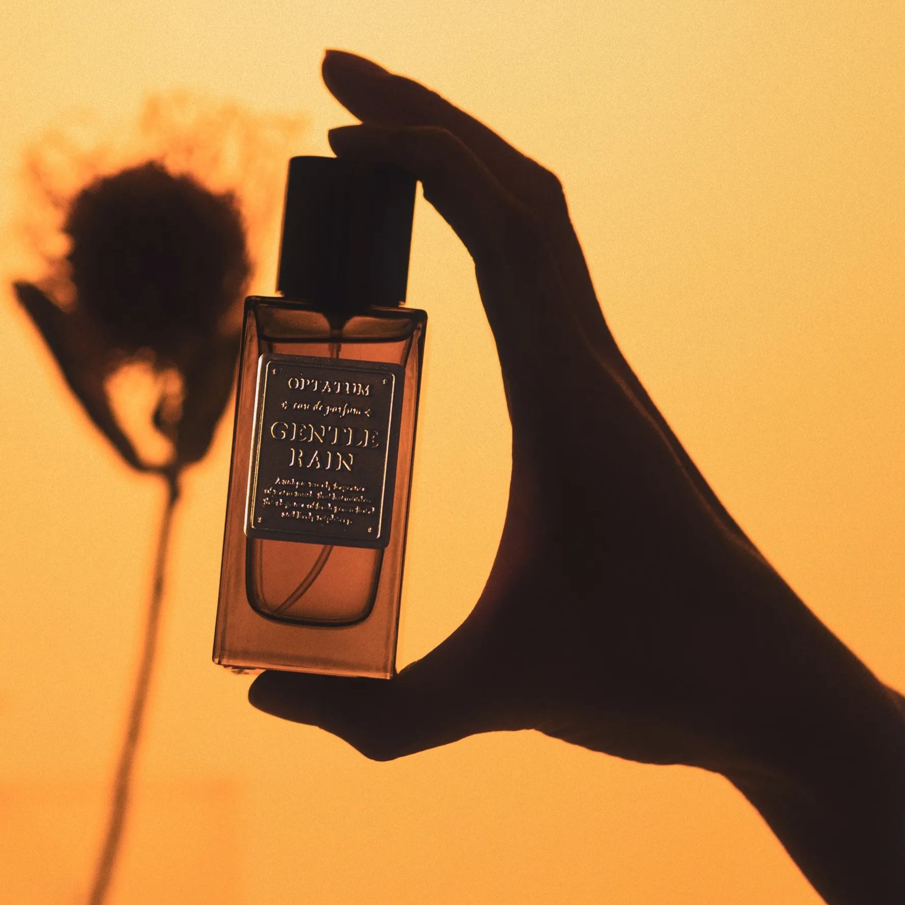 OPTATUM Perfume Gentle Rain EDP 50ml