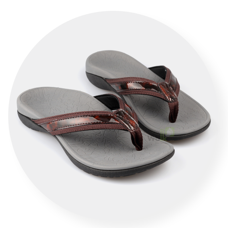 Anatomy-Brown-HAPPY WALKER