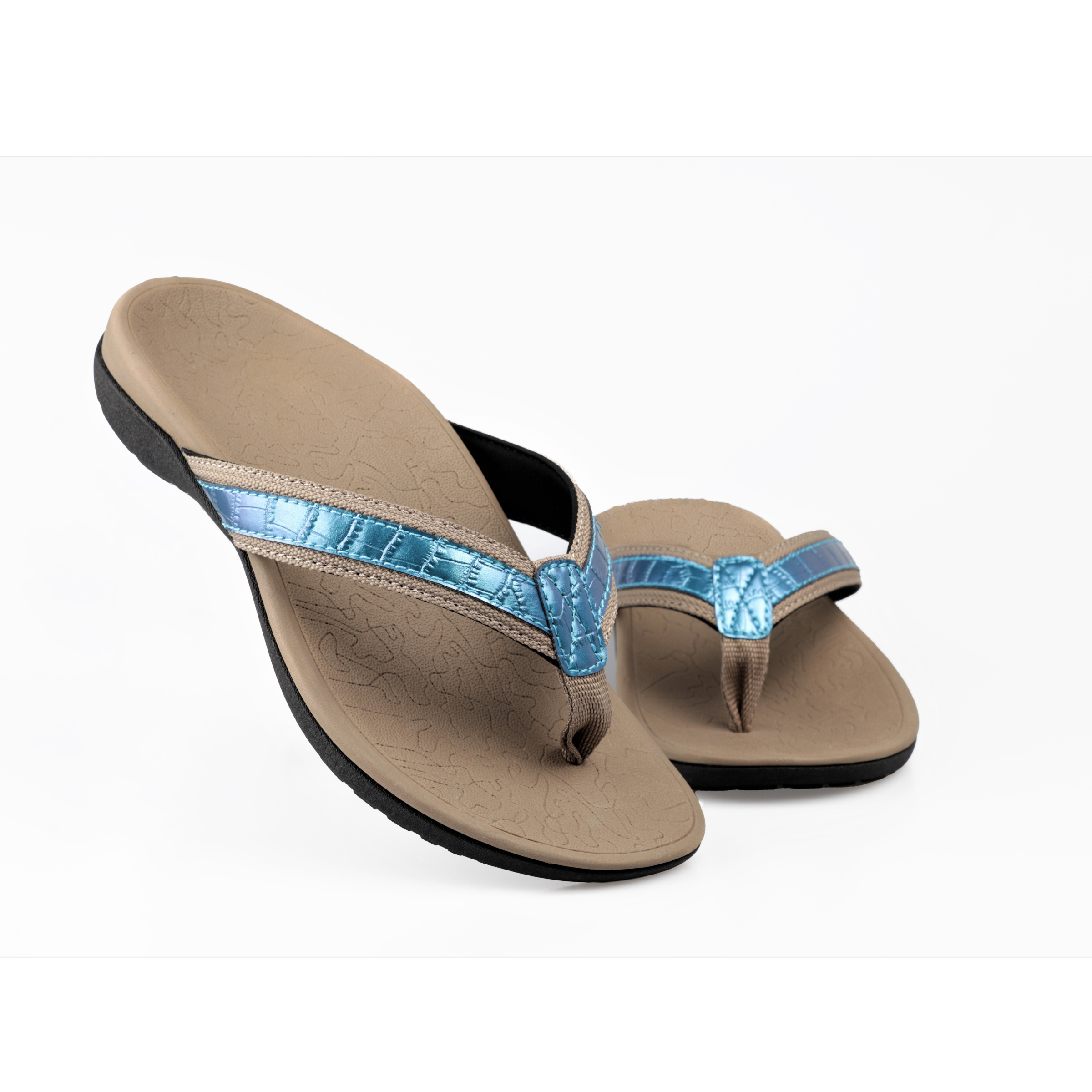 Anatomy-Blue-HAPPY WALKER