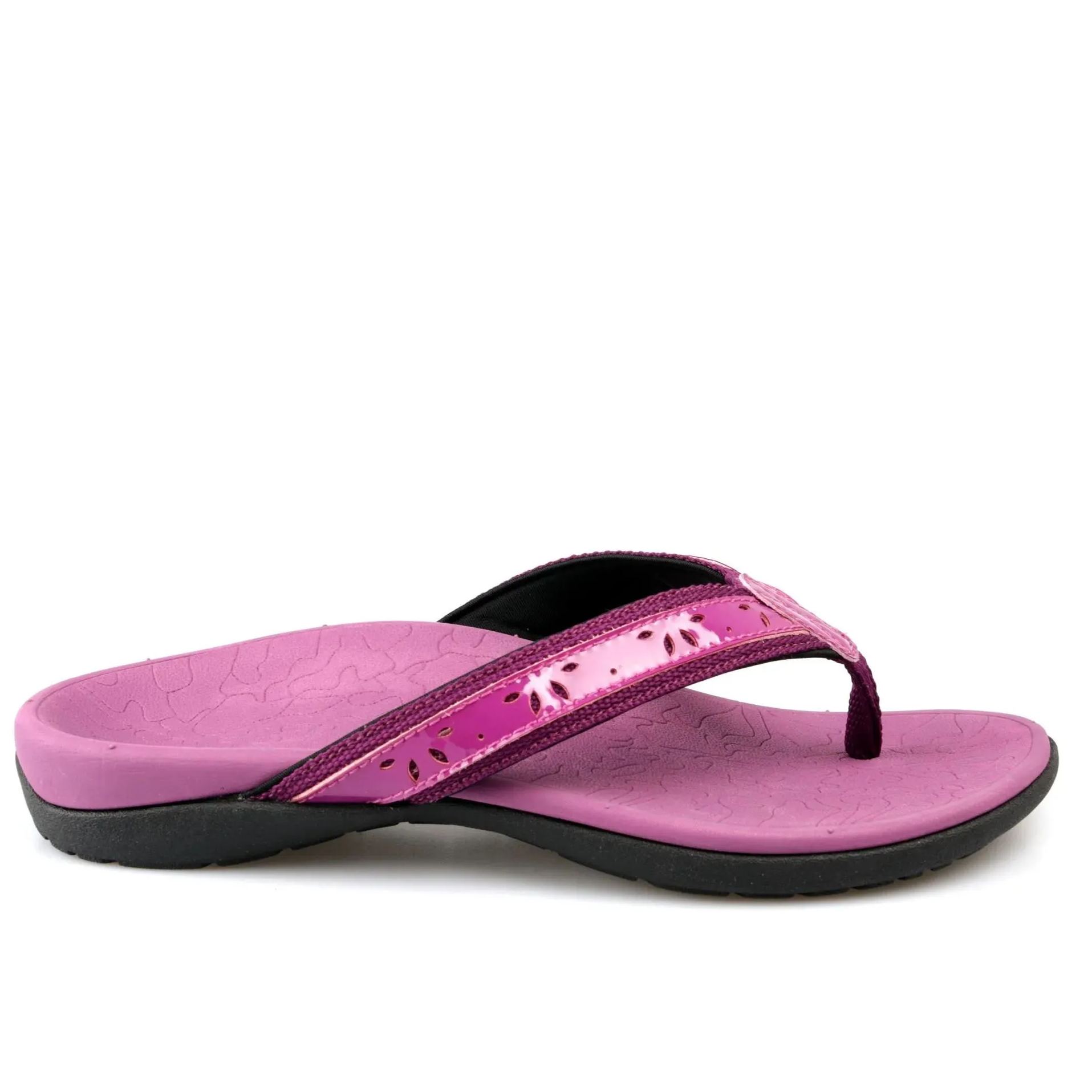 Anatomy-Purple-HAPPY WALKER