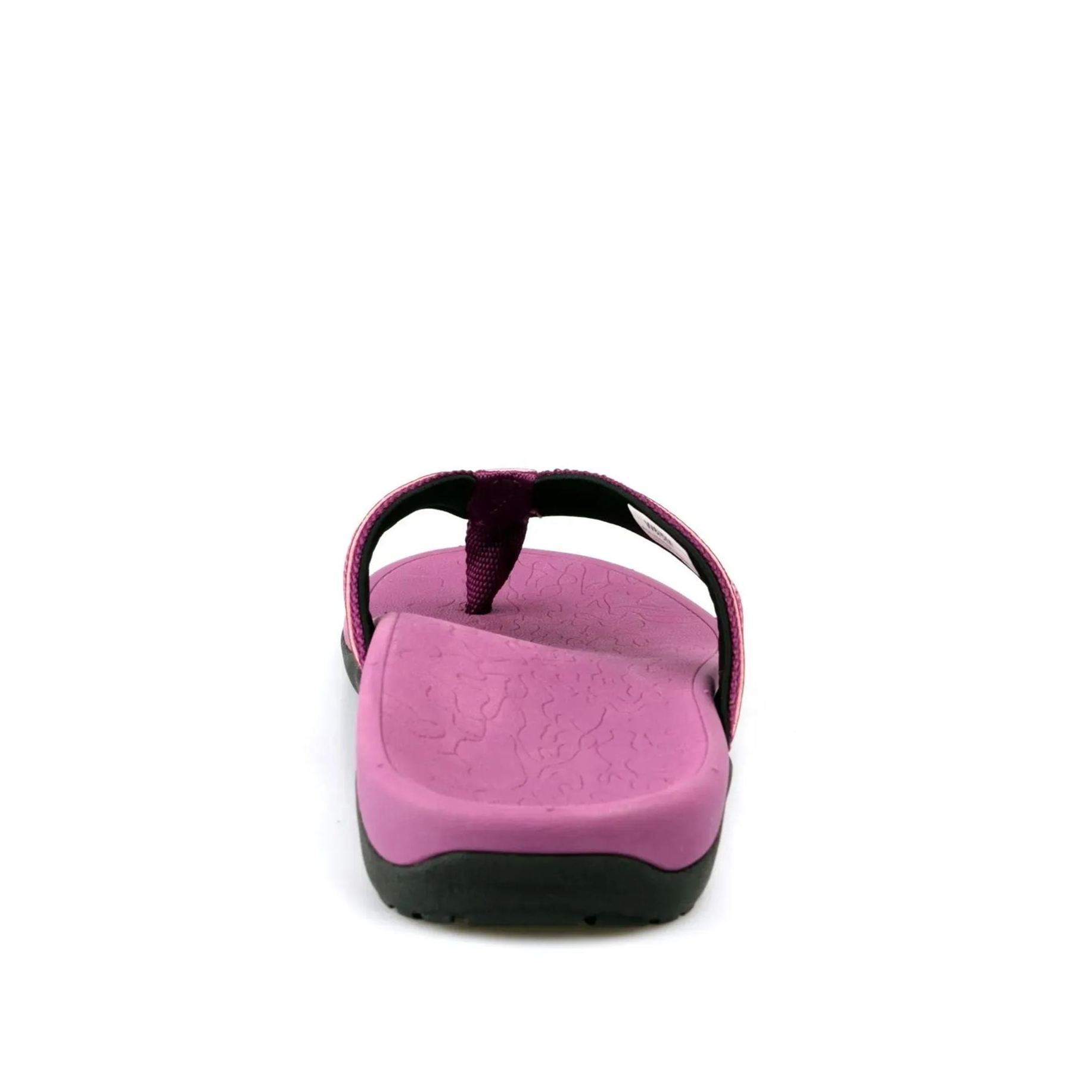 Anatomy-Purple-HAPPY WALKER