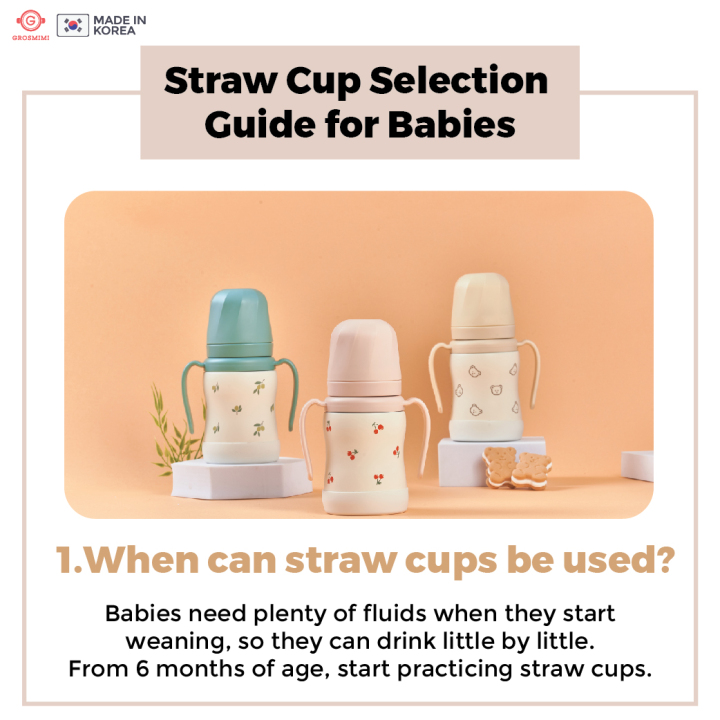 [Grosmimi] Stainless Steel Straw Cup Olive Series