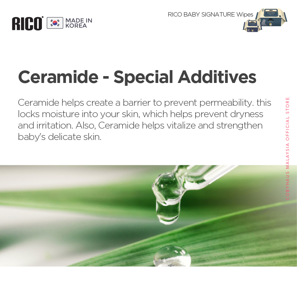[Rico] Wet Wipes Signature 65GSM ( EXP DATE 2026)