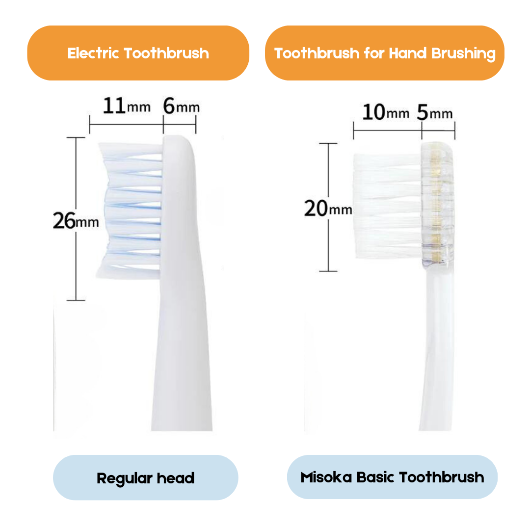 MISOKA Replacement Brush Heads for E800 (3 Replacement Brush Heads)