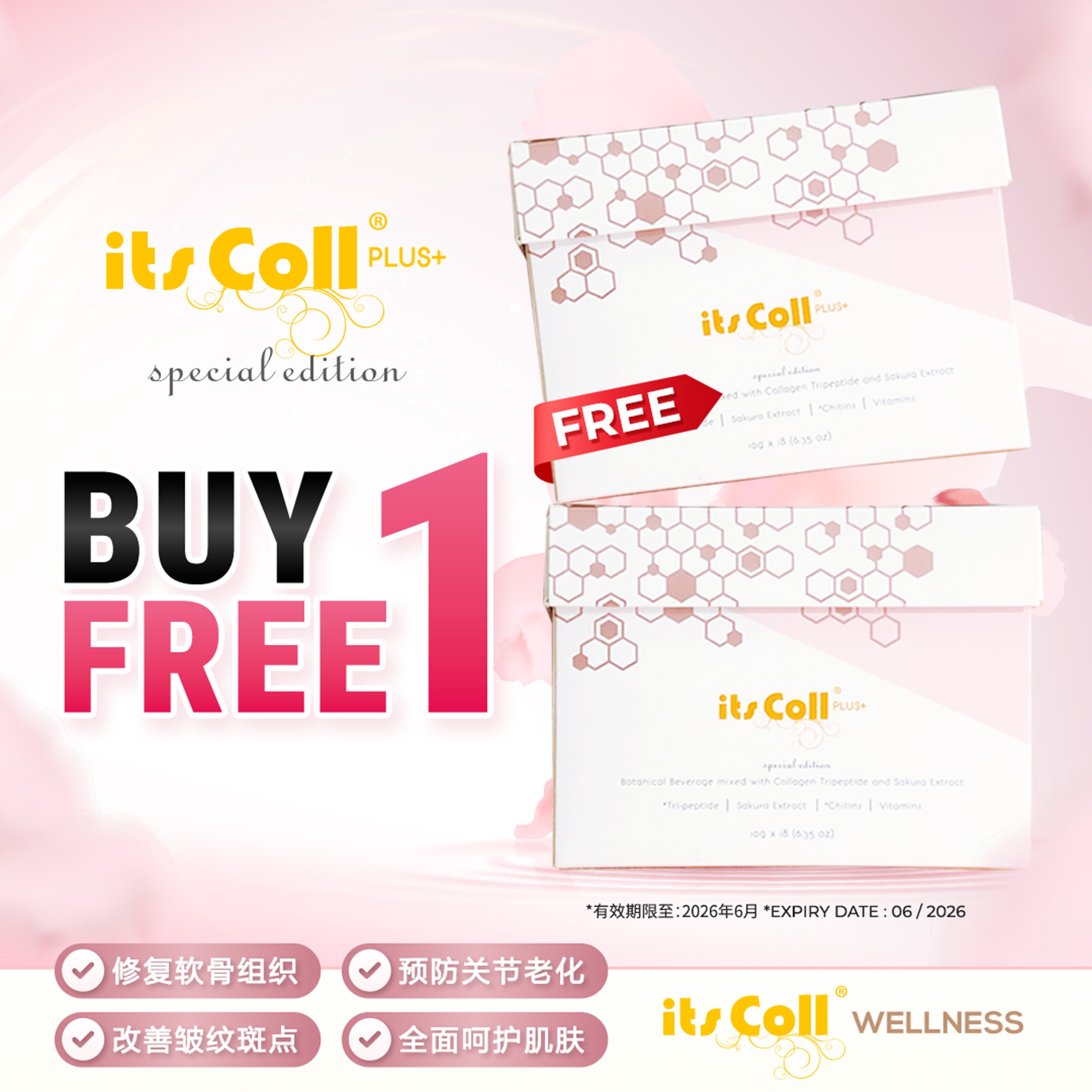  itsCollPLUS+ SE PROMO