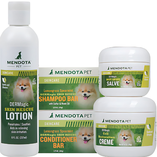 Bundle Deal The DERMagic System