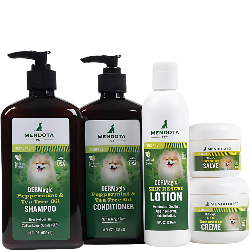 Bundle Deal The DERMagic System