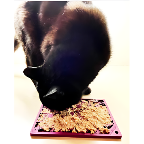 Fishy Design eMat Enrichment Lick Mat - Small | Plum