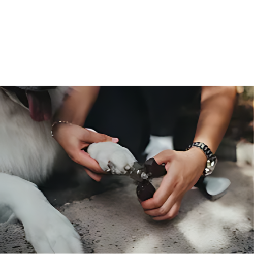 (Forget Me Not shelter) HUNTER® Nail Spa Clippers