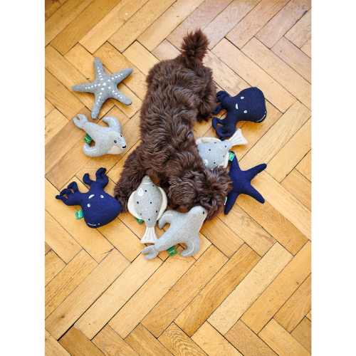 HUNTER® Skagen Series