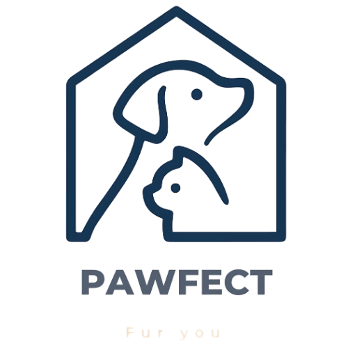 HUNTER® Training Leash Krazy Sansibar